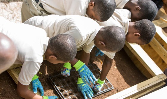 Ona Glinton Primary School and FortisTCI Plant Seeds for Earth Day